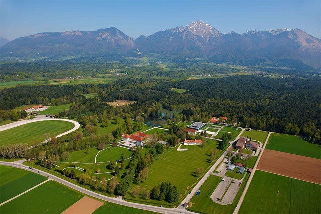 Danes je posest Brdo živahno protokolarno in kongresno središče. Pa tudi raj za sprehajalce, občudovalce narave, golfiste in tudi športnike.  | Foto: 