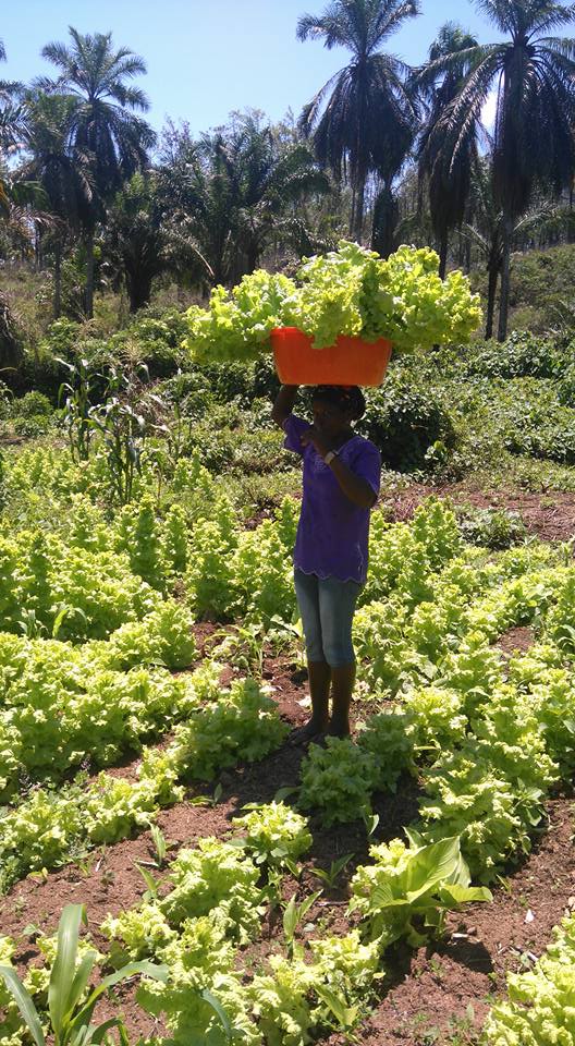 Angola ima zelo rodovitno zemljo in številna naravna bogastva. | Foto: Osebni arhiv