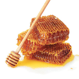 propolis | Foto: 