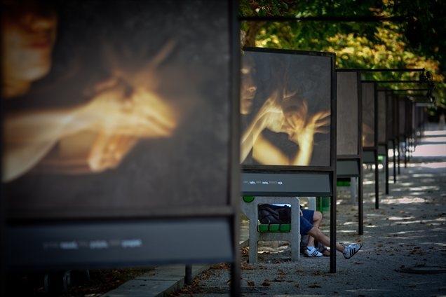 Jakopičev drevored, ki je nastal v 30. letih prejšnjega stoletja po načrtih Jožeta Plečnika in v sodelovanju z mestnim vrtnarjem Antonom Lapom, je v današnjem času tudi galerija na prostem. Na fotografiji je razstava Prekinitev avtorja Charlesa Juhásza-Alvarada s 30. grafičnega bienala. | Foto: Matej Povše