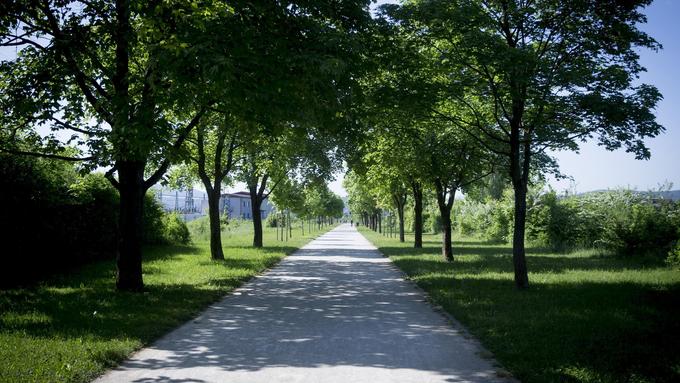 Pot spominov in tovarištva, zdaj POT, vodi po nekdanji trasi z žico okupirane Ljubljane, ob svojem zgodovinskem pričevanju pa je tudi eden največjih ljubljanskih parkov in najdaljši mestni drevored z rekreacijskimi površinami. | Foto: Ana Kovač