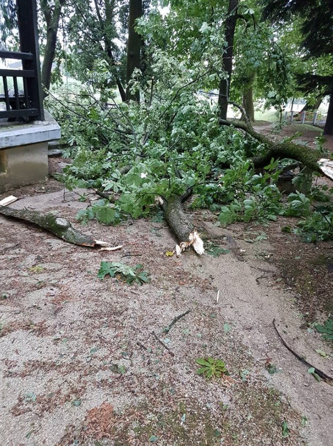 Takole je neurje klestilo na Ptuju | Foto: Bralec Omar Hanuna