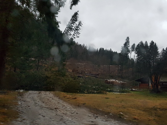 Civilna zaščita se je na Jezerskem prebila do vseh hiš, a nekatere ceste ostajajo zaprte za redni promet (fotografija je nastala v ponedeljek). | Foto: Gasilci Kranj