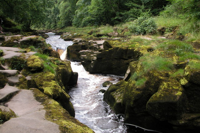 The Strid ali Bolton Strid je odsek reke Wharfe, ki je na prvi pogled videti kot čisto navaden in miren gozdni potok. Z izjemo nekaj manjših brzic reka tam teče umirjeno in počasi, široka pa je toliko, da bi jo lahko prestopili z enim malce daljšim korakom. | Foto: Thomas Hilmes/Wikimedia Commons