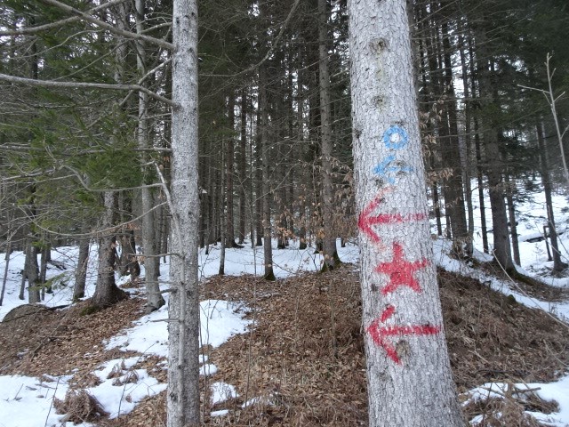 Odkrivaj Slovenijo | Foto: 