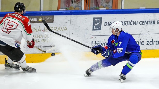 Slovenci bodo turnir odprli v četrtek proti Madžarom. | Foto: HZS/Drago Cvetanovič