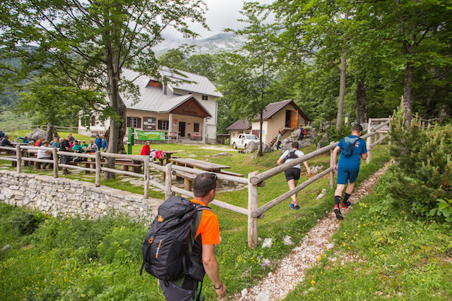 Tešky je obiskal 33 vrhov, ki spadajo v Zlatorogovo transverzalo ponosa, kjer se je v preteklosti že ustavila karavana vseslovenskega planinskega projekta Gremo v hribe. | Foto: Boštjan Selinšek, Plankton media