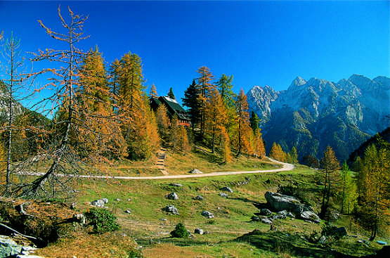 Kranjska Gora | Foto: Marko Prezlc