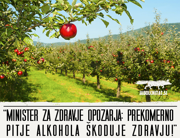 Cider Tat Laško | Foto: 