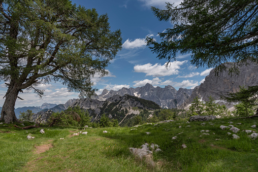 Izlet Vršič-Sleme | Foto: 