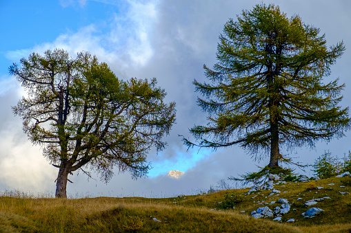 Izlet Vršič-Sleme | Foto: 