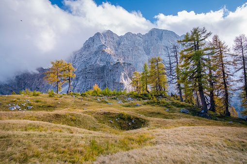 Izlet Vršič-Sleme | Foto: 