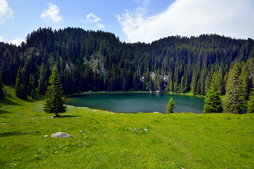 Planina pri Jezeru.  | Foto: 