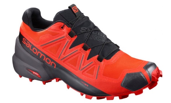 Salomon SPEEDCROSS 5 GTX, moški | Foto: 