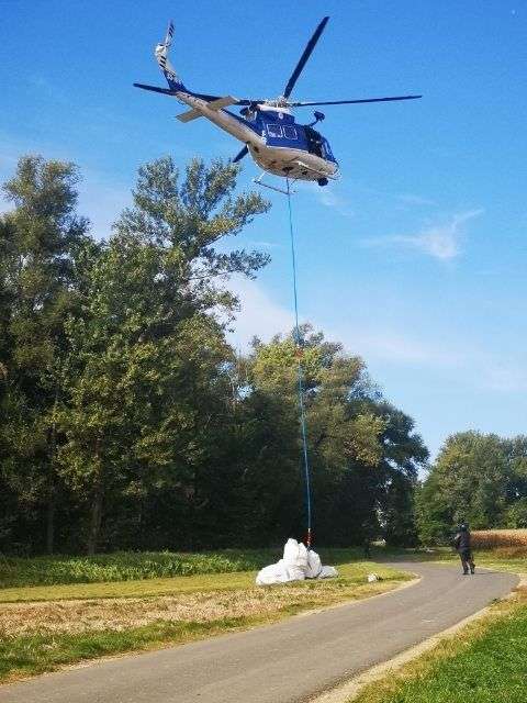 konoplja nasad Mura | Foto: Policija