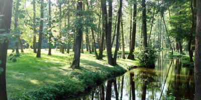 Lisjakova struga | Foto: kultprotur.si