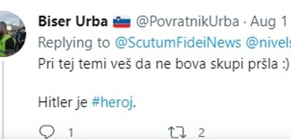 Tvit, ki je sprožil številne obsodbe in burne odzive. | Foto: Twitter/Daily Loud