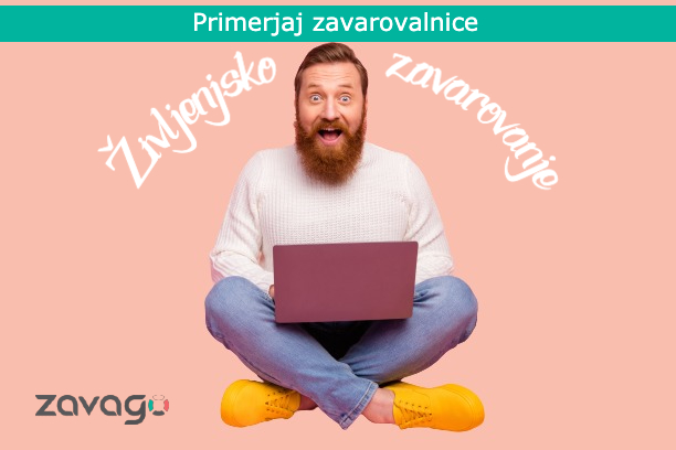 Spletni portal ZavaGO s primerjavo različnih zavarovanj različnih zavarovalnic v Sloveniji. Izberite najugodnejšega ponudnika.  | Foto: FINANČNA HIŠA