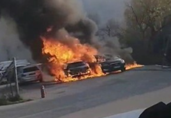 Goreči avtomobili pred tovarno | Foto: Twitter/Daily Loud