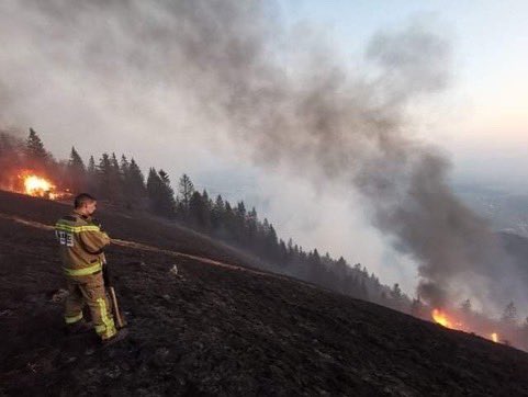 Požar nad Preddvorom | Foto: Uprava za zaščito in reševanje/facebook