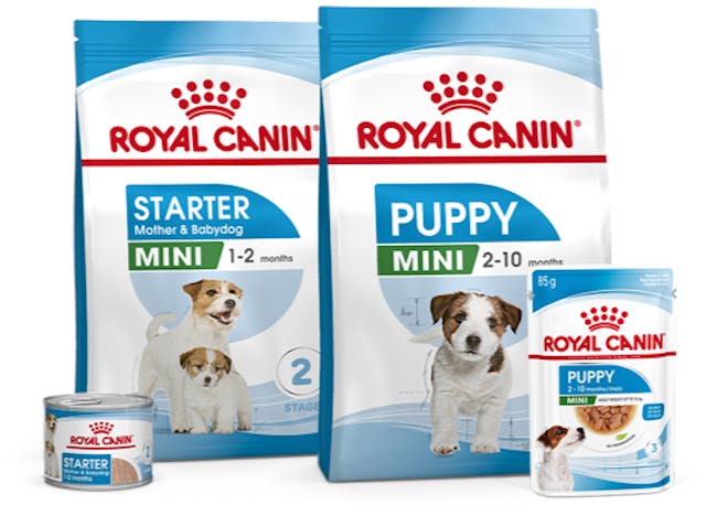 Royal Canin | Foto: Royal Canin