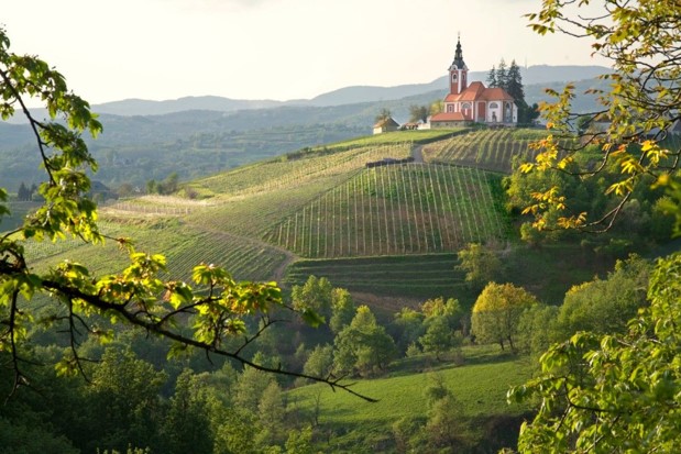 Wine and walk | Foto: TZ Karlovačke