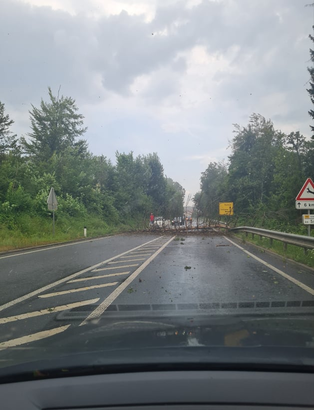  Posušeno drevo je za nekaj časa zaprlo cesto Ljubljana–Kočevje. | Foto: Matija Petek