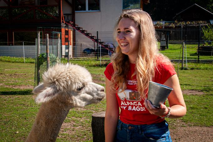 Tajda je ena izmed prvih v Sloveniji, ki se je začela resno ukvarjati s turizmom z alpakami.  | Foto: Gaja Hanuna