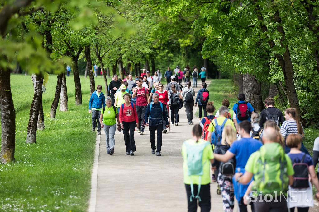 pohod pot ob žici 2019