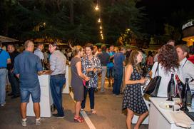 Nova Gorica Hit Park Wine Party vinski festival