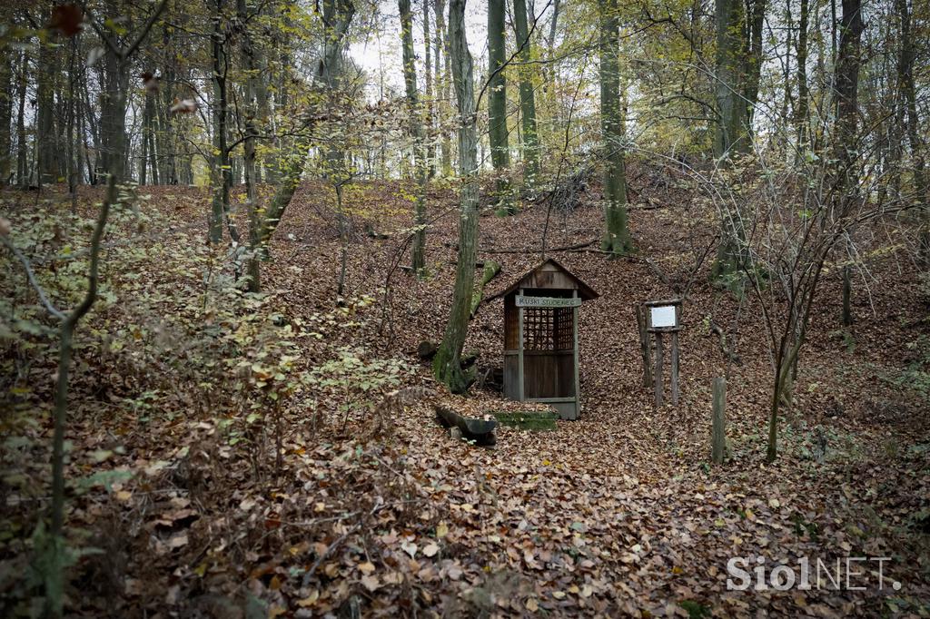 Proga Ormož Murska Sobota