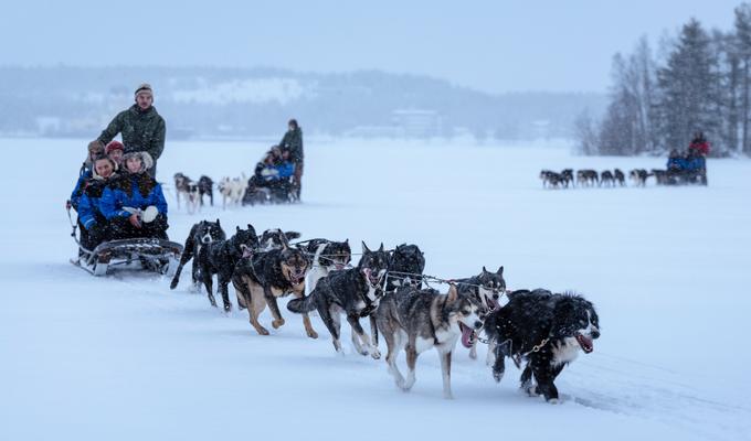 Prvi del potovanja okrog mesta Lulea s pasjo vprego. | Foto: Toyota