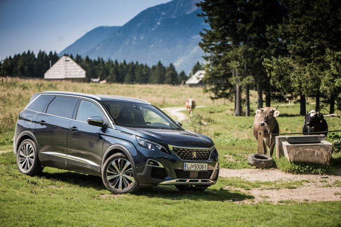 5008 se ne ustraši nobenega terena, s pomočjo sistema grip control družinski križanec premaga marsikatero oviro in se samozavestno poda v srce narave. | Foto: Klemen Korenjak