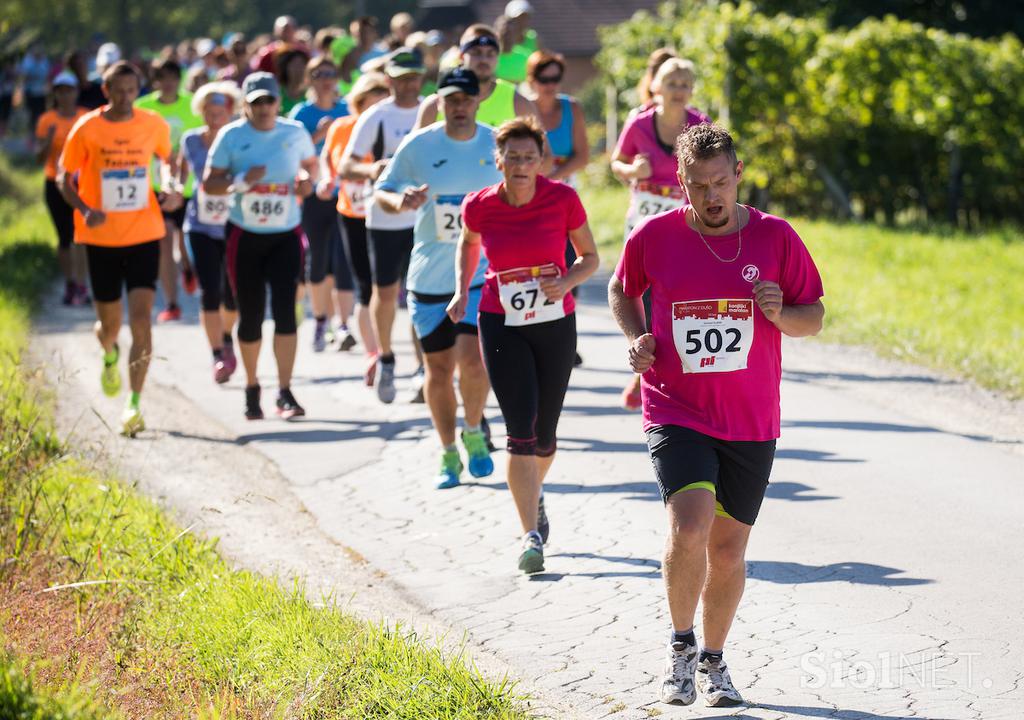 Konjiški maraton 2016