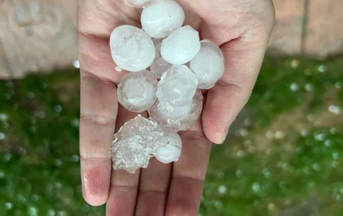 Toča | Slovenijo in njene kmetovalce je v zadnjem času prizadelo več neurij s točo. | Foto Neurje.si