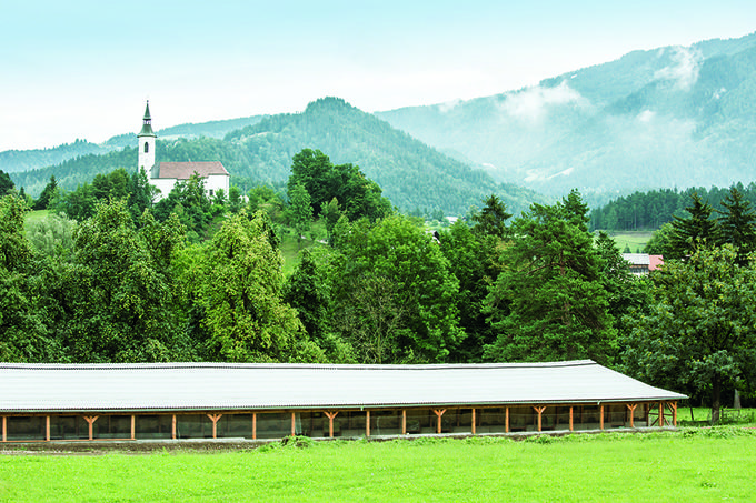 Narava - hlev Slatinsek | Foto: Perutnina Ptuj