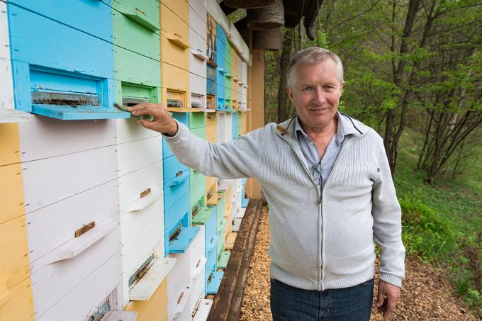 Herman Kisilak Čebelji gradič med čebele kmetija turizem Prekmurje Rogašovci | Foto: Matjaž Vertuš