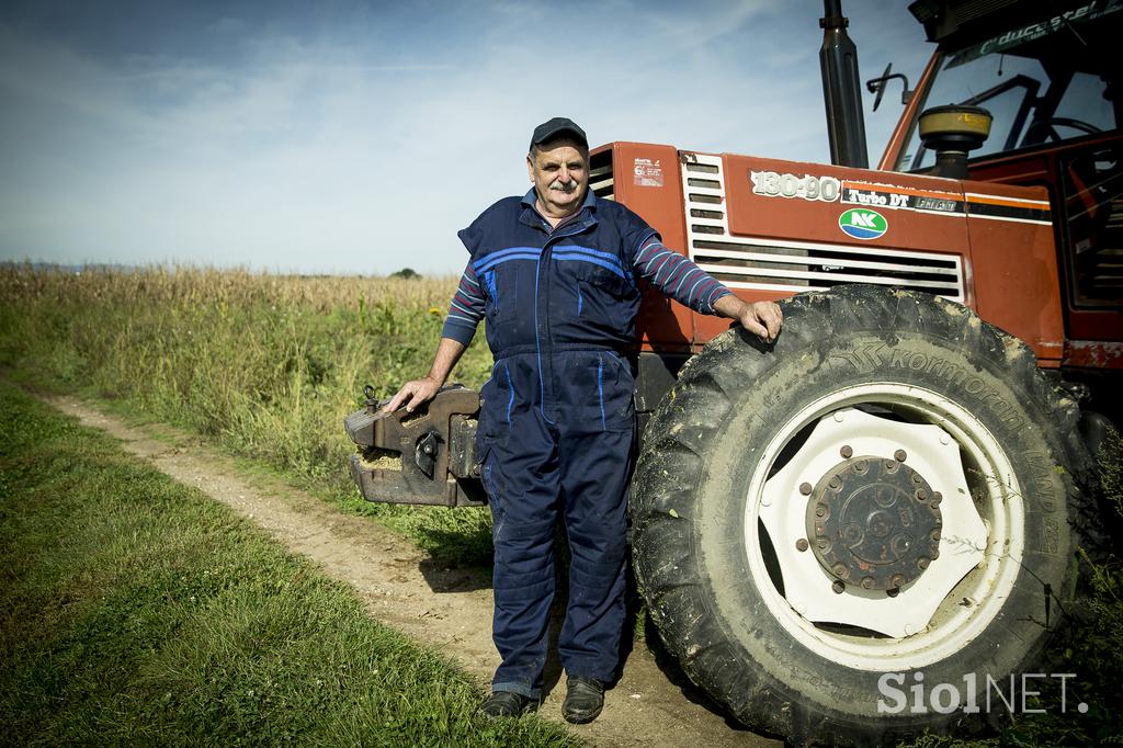 Kmetija majerič Branko Ptuj Ptujski lük čebula ohranitveno kmetijstvo