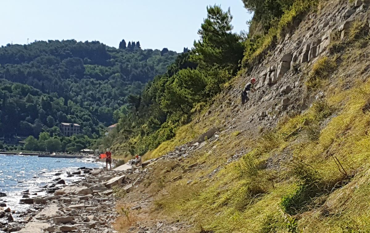 fiesa | Sprehajalna pot med Piranom in Fieso je po sanaciji spet odprta za obiskovalce. | Foto Občina Piran