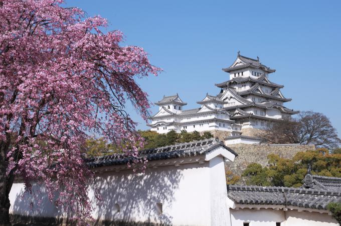 Grad Himeji na Japonskem | Foto: Getty Images