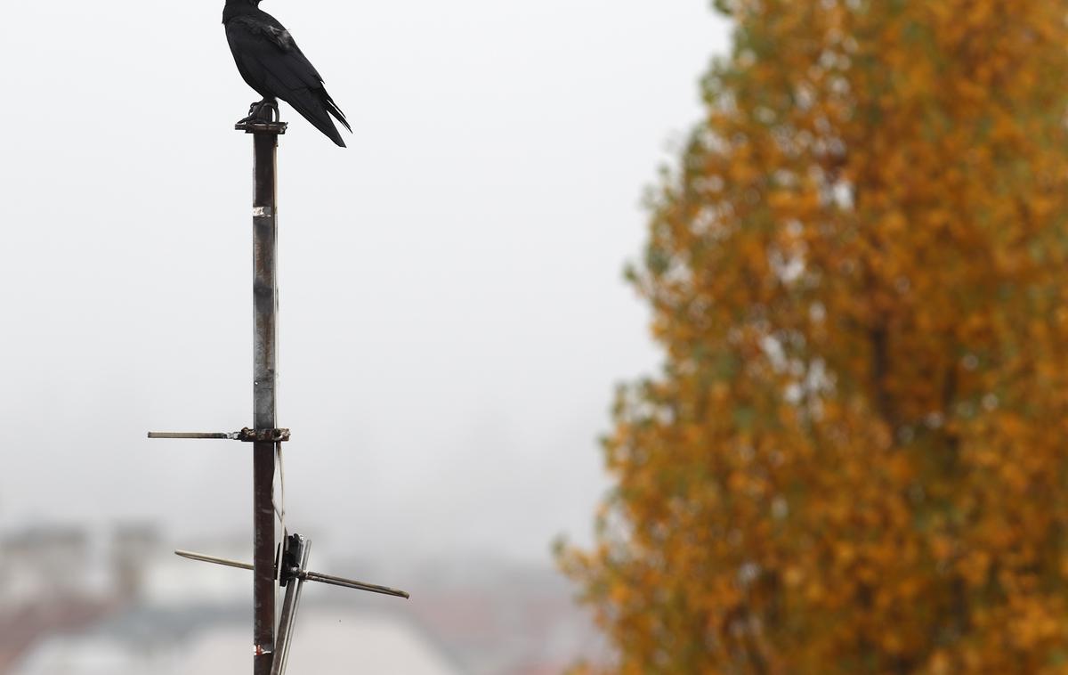 radio antena frekvence | Sprožili so upravni spor in zaradi močno izražene volje in želje prebivalcev Bohinja začeli oddajati s predpisano frekvenco in močjo z druge oddajne točke. | Foto Reuters