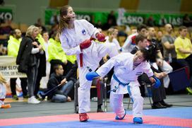 Karate Slovenija Open 2018