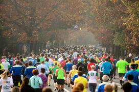 24. Ljubljanskega maraton: 10 kilometrov