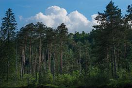 Zipline dolinka