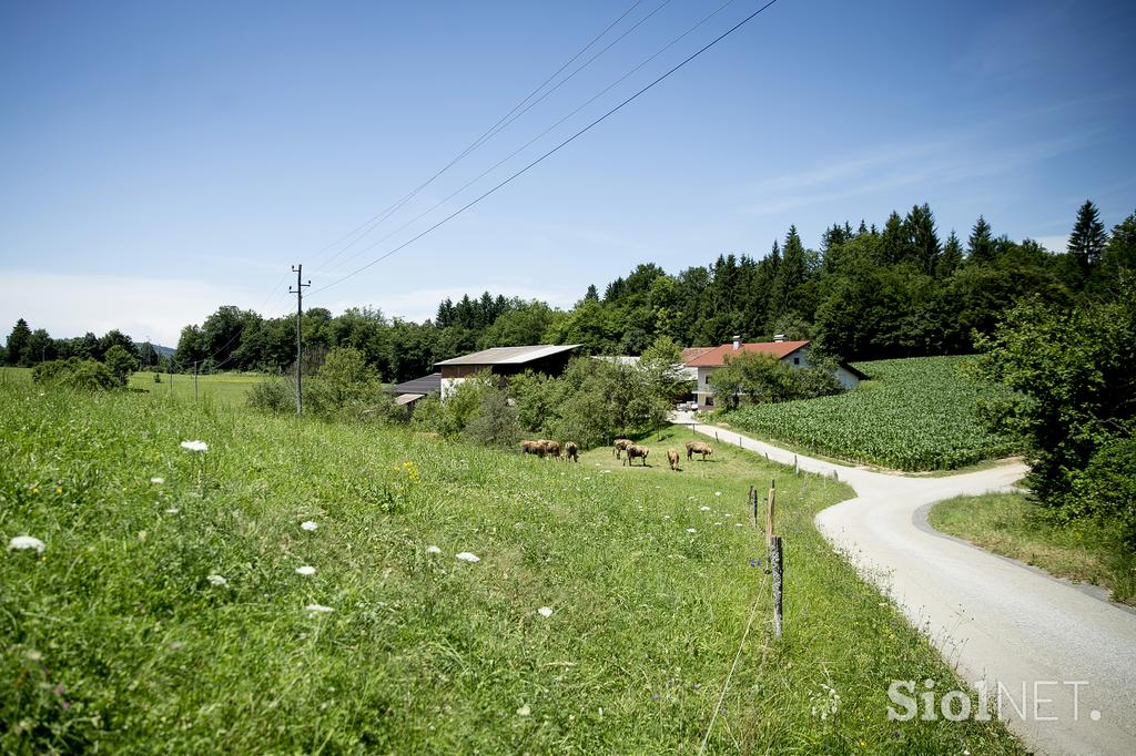 Kmetija Potokar Matej Potokar