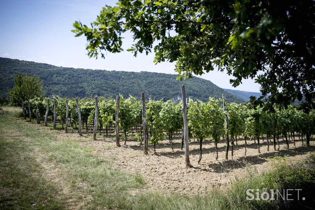 Turistična kmetija Štok Marezige