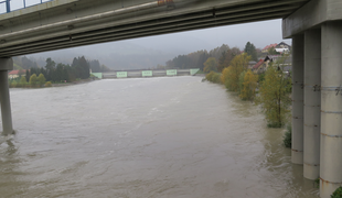 Drava jim je že drugič v nekaj letih poplavila hišo #video