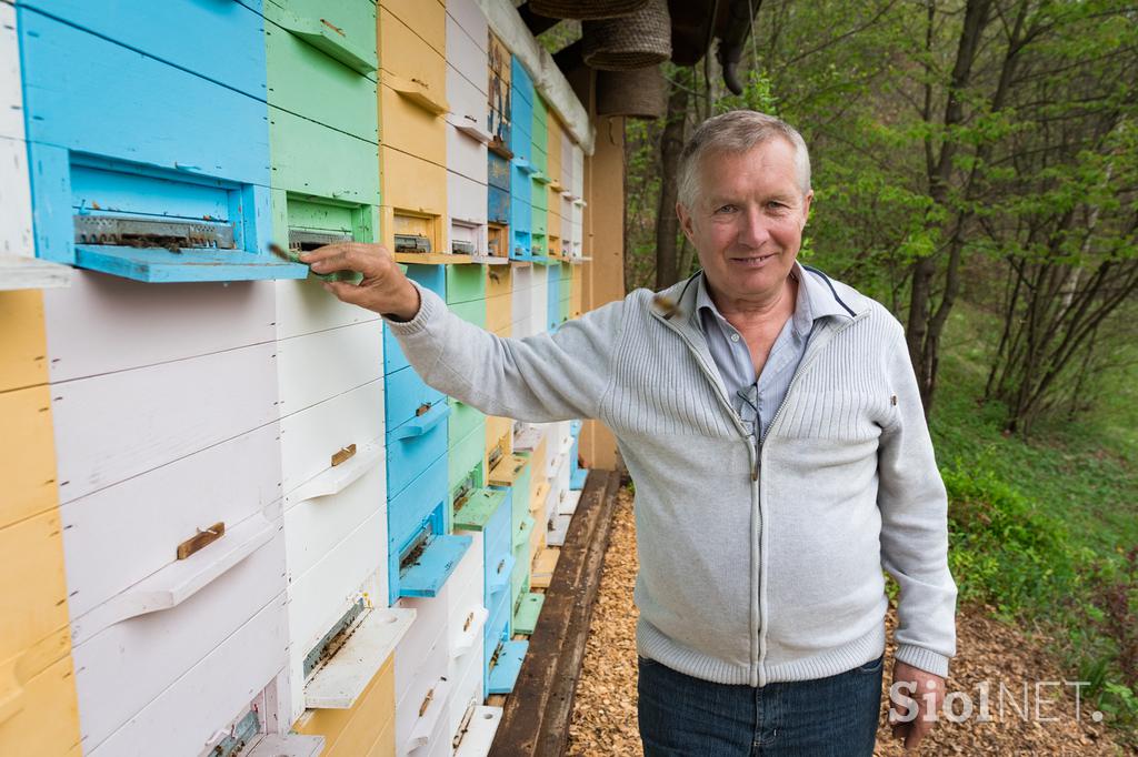 Herman Kisilak Čebelji gradič med čebele kmetija turizem Prekmurje Rogašovci