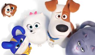 Skrivno življenje hišnih ljubljenčkov 2 (The Secret Life of Pets 2)