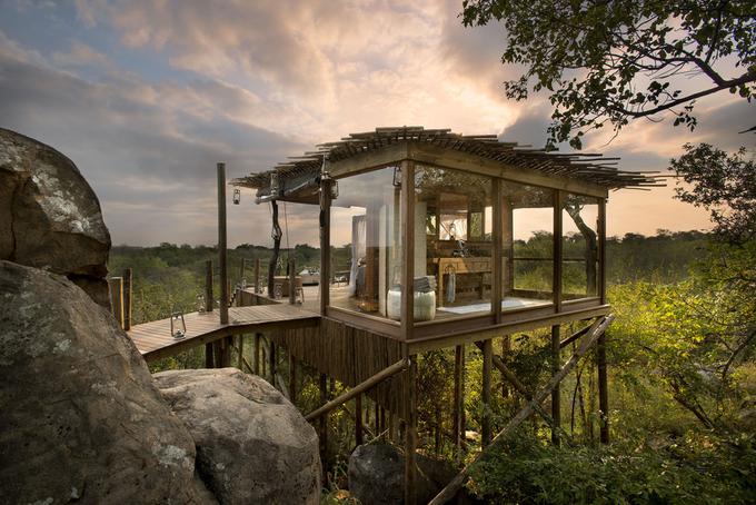 Kingston Treehouse | Foto: lionsands.com